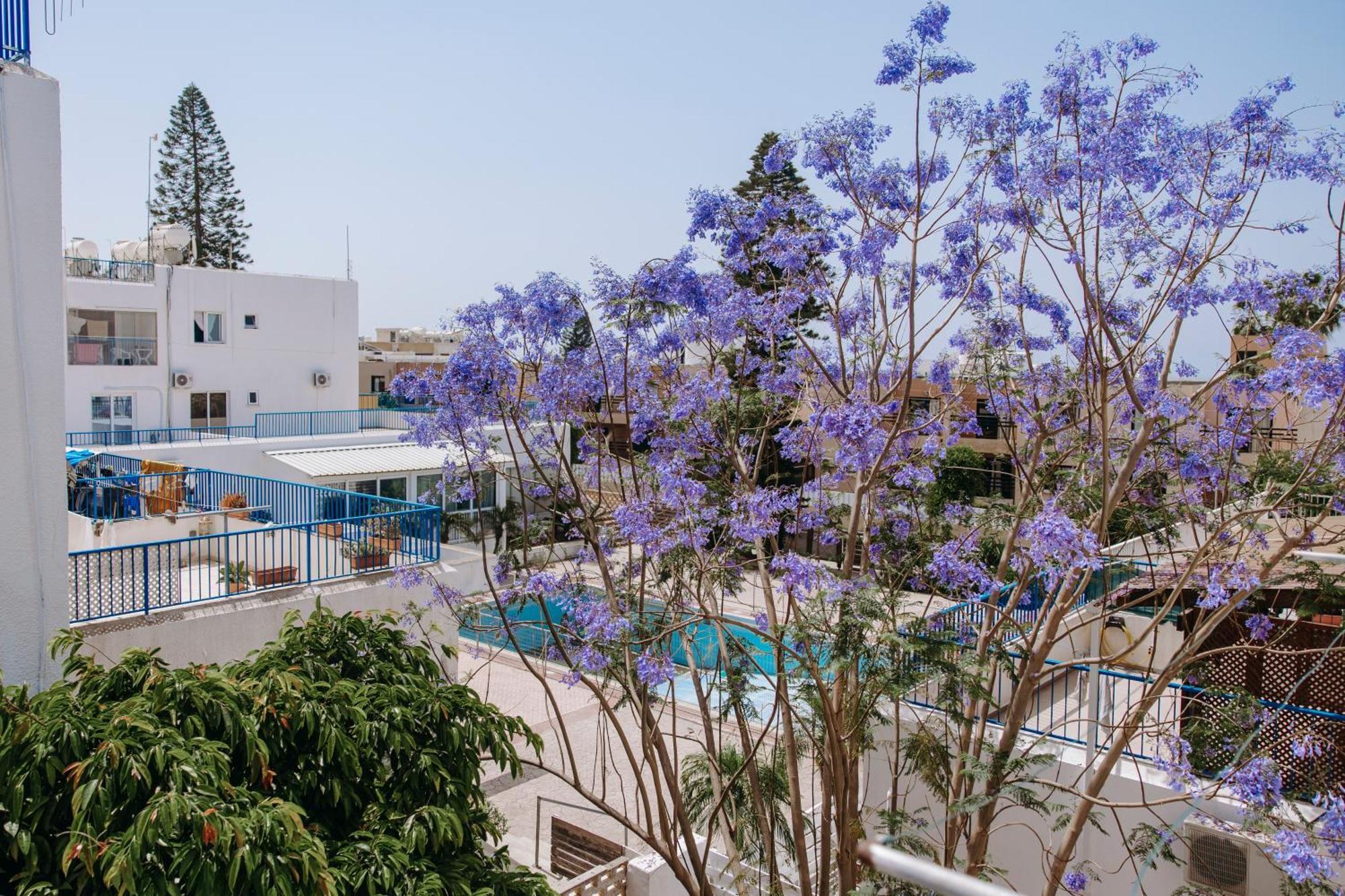 Viking Family Superior Lux Apartment Ayia Napa Exterior foto